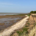 На дне Таганрогского залива обнаружили устойчивые к антибиотикам бактерии