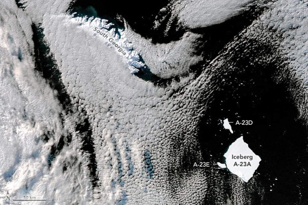 Айсберг A-23A и его осколки / © NASA Earth Observatory
