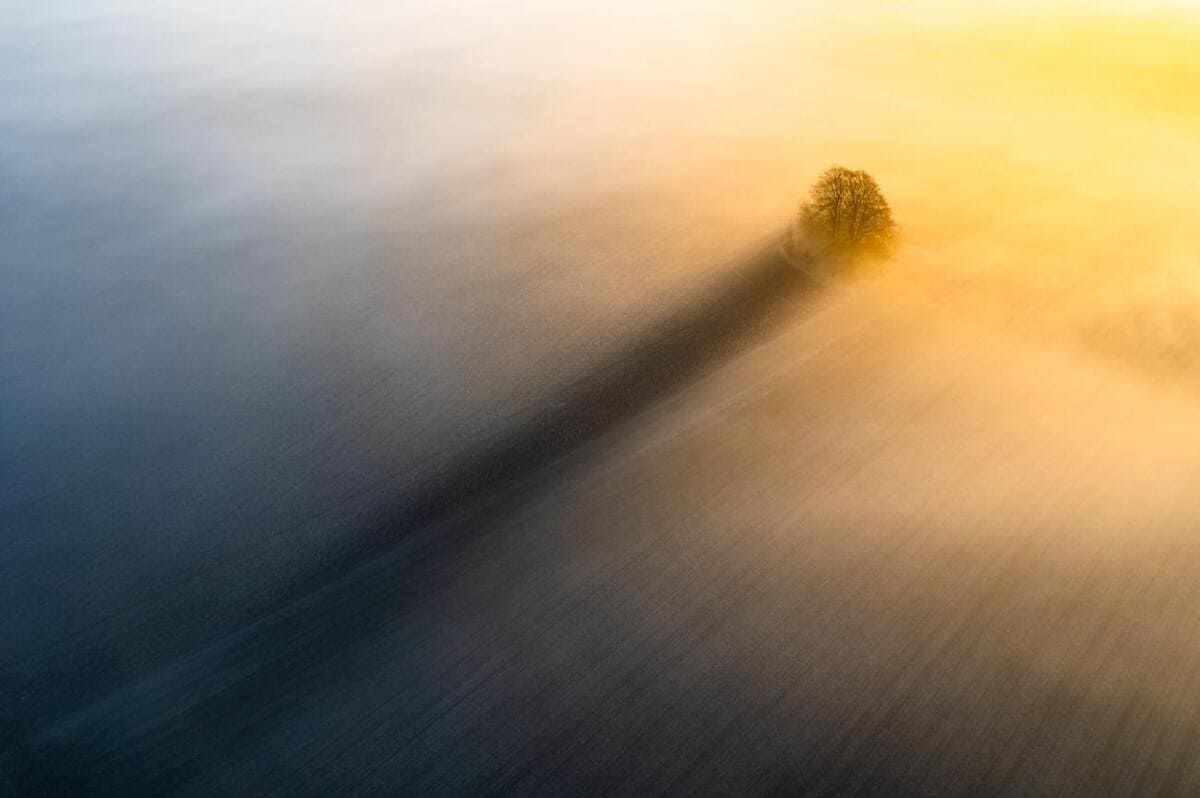 Первое место в категории «Природа» / © Christopher Harrison