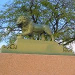 Львов Петербурга стало легче находить с помощью новой цифровой карты