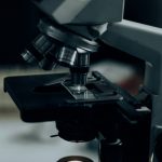 Ученые разработали новые противогрибковые средства, в 16 раз эффективнее обычных