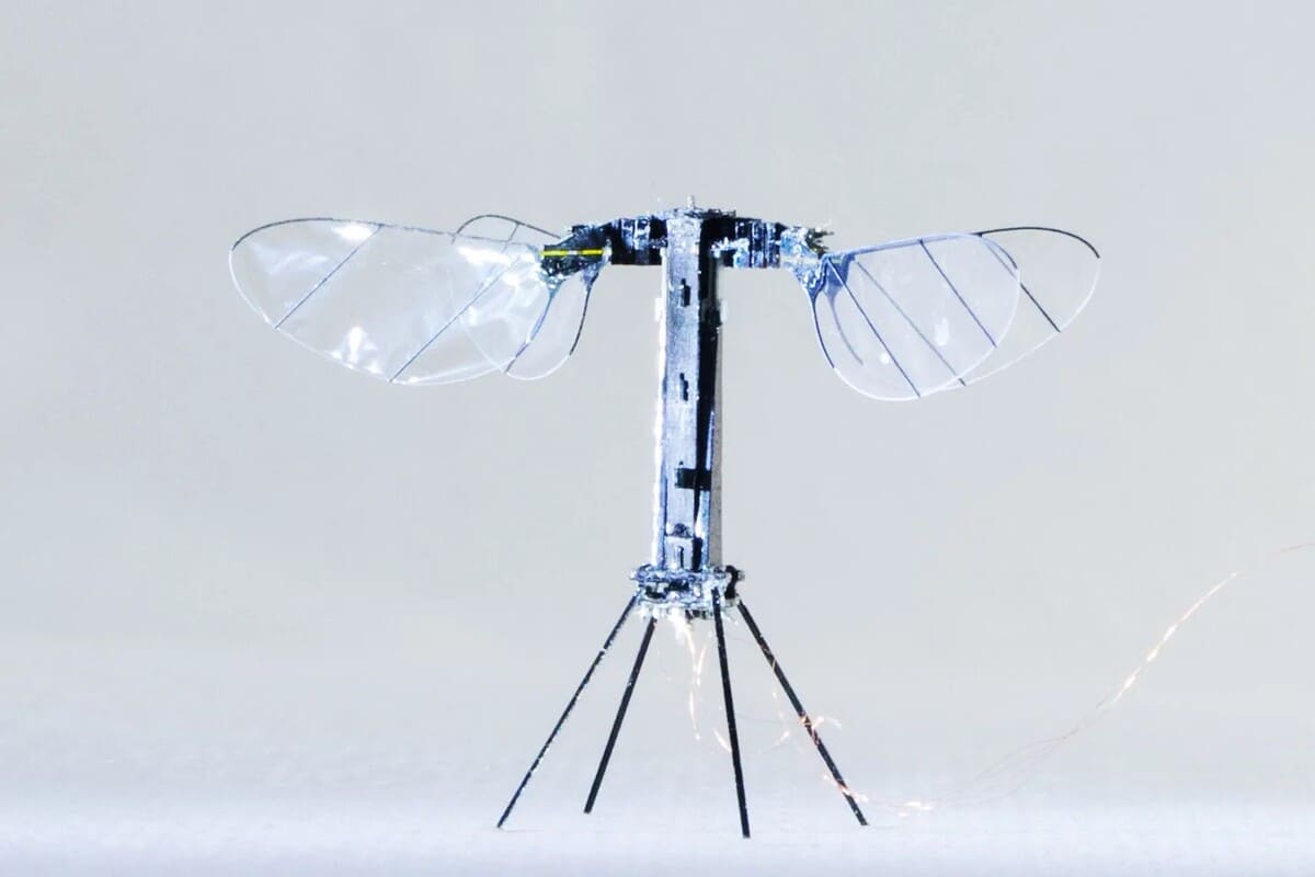 RoboBee / © Harvard Microrobotics Laboratory