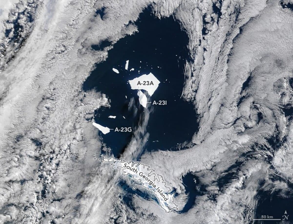 Айсберг A-23A и его осколки / © NASA Earth Observatory