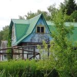 Уходящий сезон: что посадить осенью и как подготовить дачу к зиме