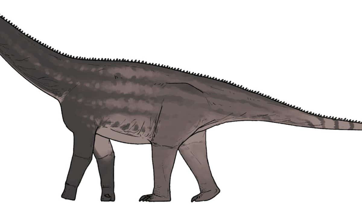 Палеонтологи открыли новый род эвзавроподовых динозавров юрского периода