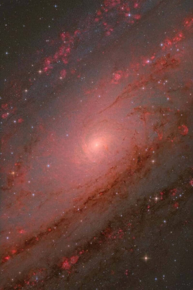 Ядро M31 — абсолютный победитель конкурса и победитель в номинации «Галактики» / © Weitang Liang, Qi Yang, Chuhong Yu