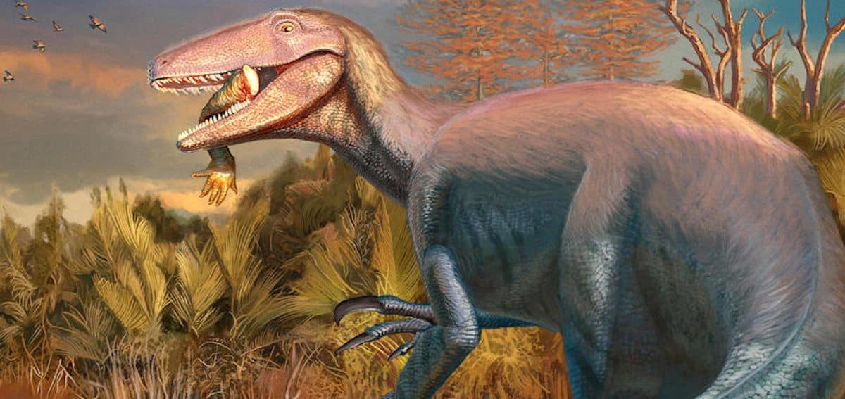 Палеонтологи описали нового мегараптора, погибшего с крокодилом в зубах