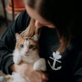 кошка на руках