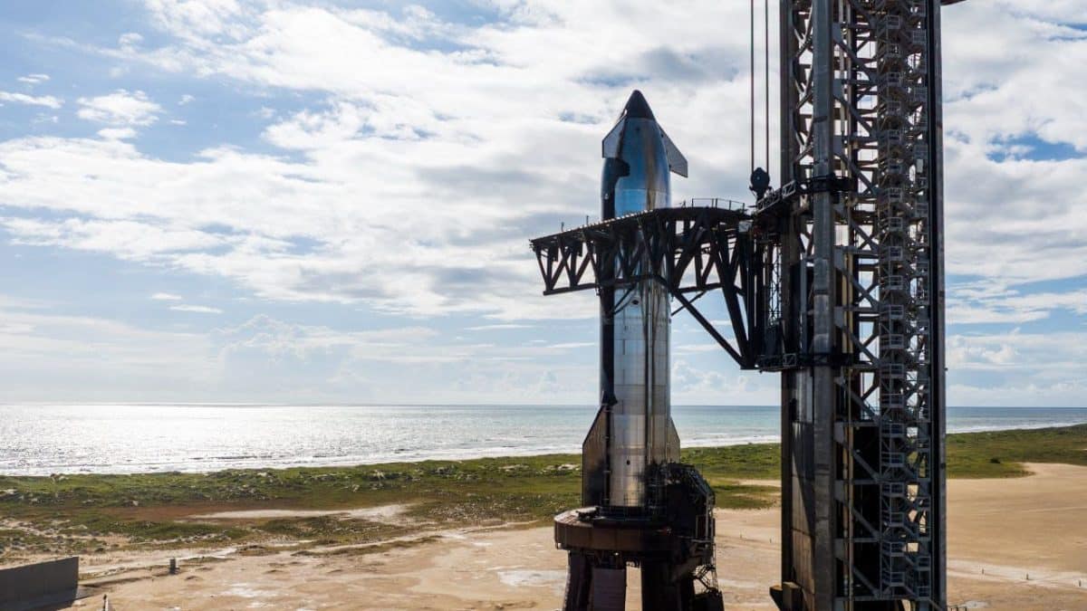Starship / © SpaceX