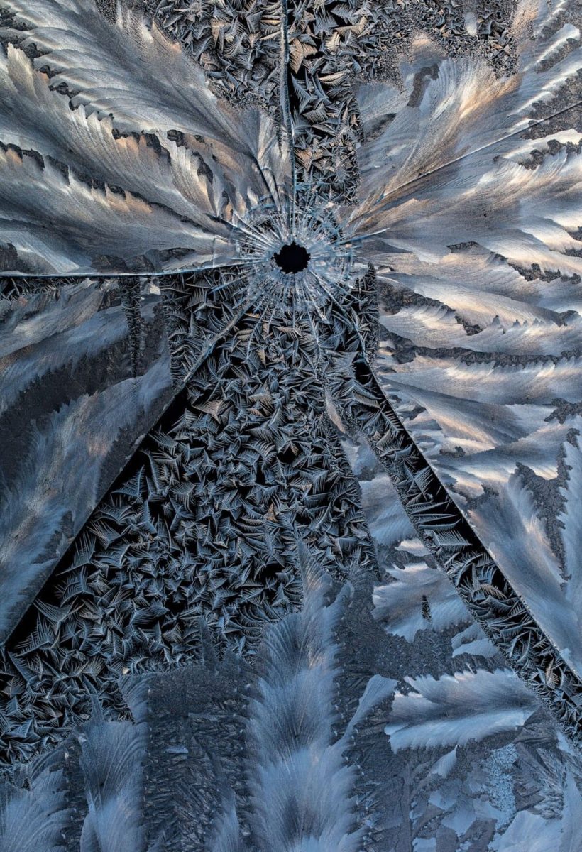 Победитель в категории «Студия природы»: «Война близка» / © Hannu Ahonen