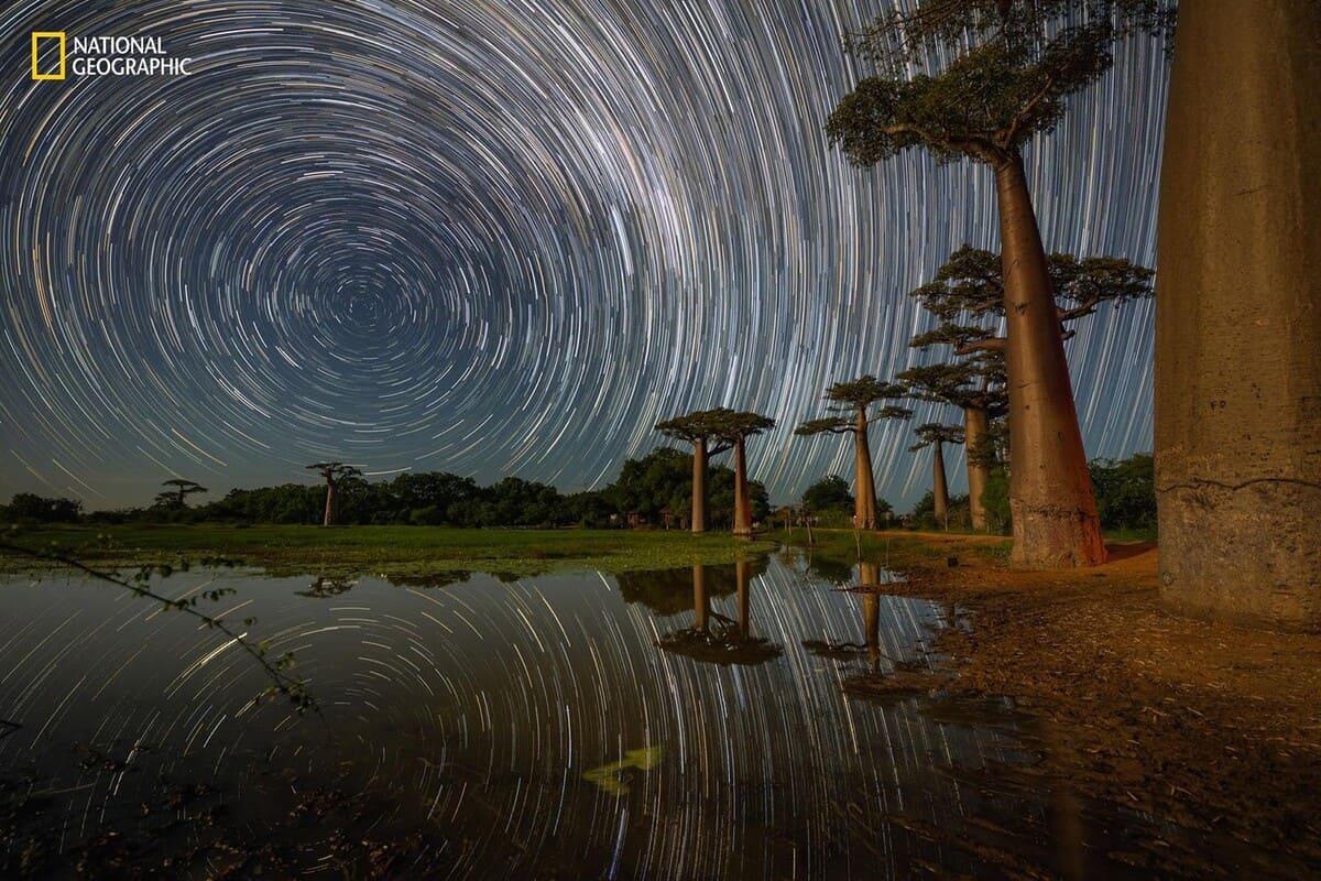 Мадагаскарские баобабы на Земле / © Babak Tafreshi / National Geographic