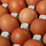 Какое яйцо самое полезное: ученые рассказали о любимом продукте россиян