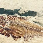 Остров карликов и гигантов: тайны Хацега