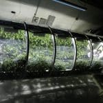 Космос на Земле