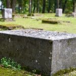 Археологи обнаружили средневековое кладбище, которое в XIII веке превратили в распаханное поле