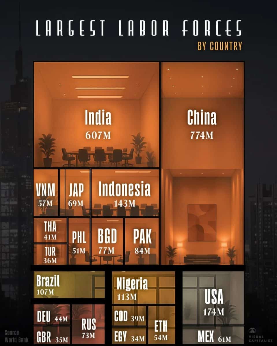 Инфографика: В каких странах мира больше всего рабочей силы / © Visual Capitalist