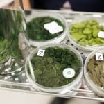 Новые штаммы водорослей могут стать основой для кормов и продуктов
