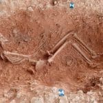 Археологи прочитали историю родов по костям и зубам