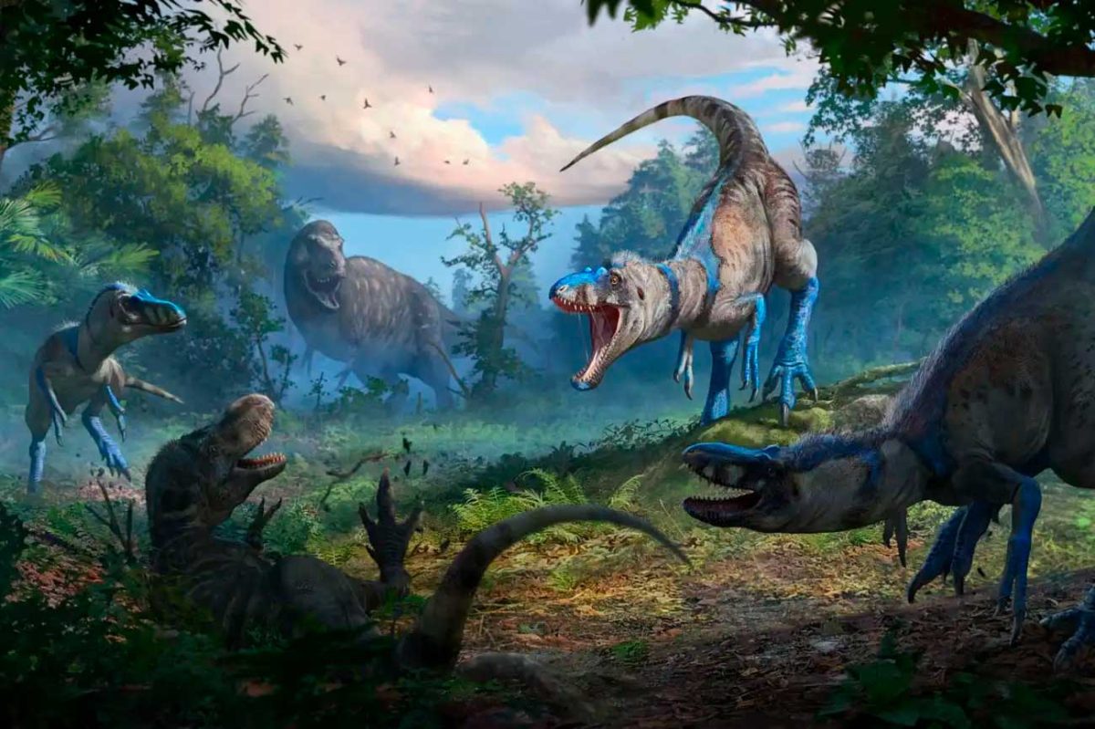 Нанонитанус