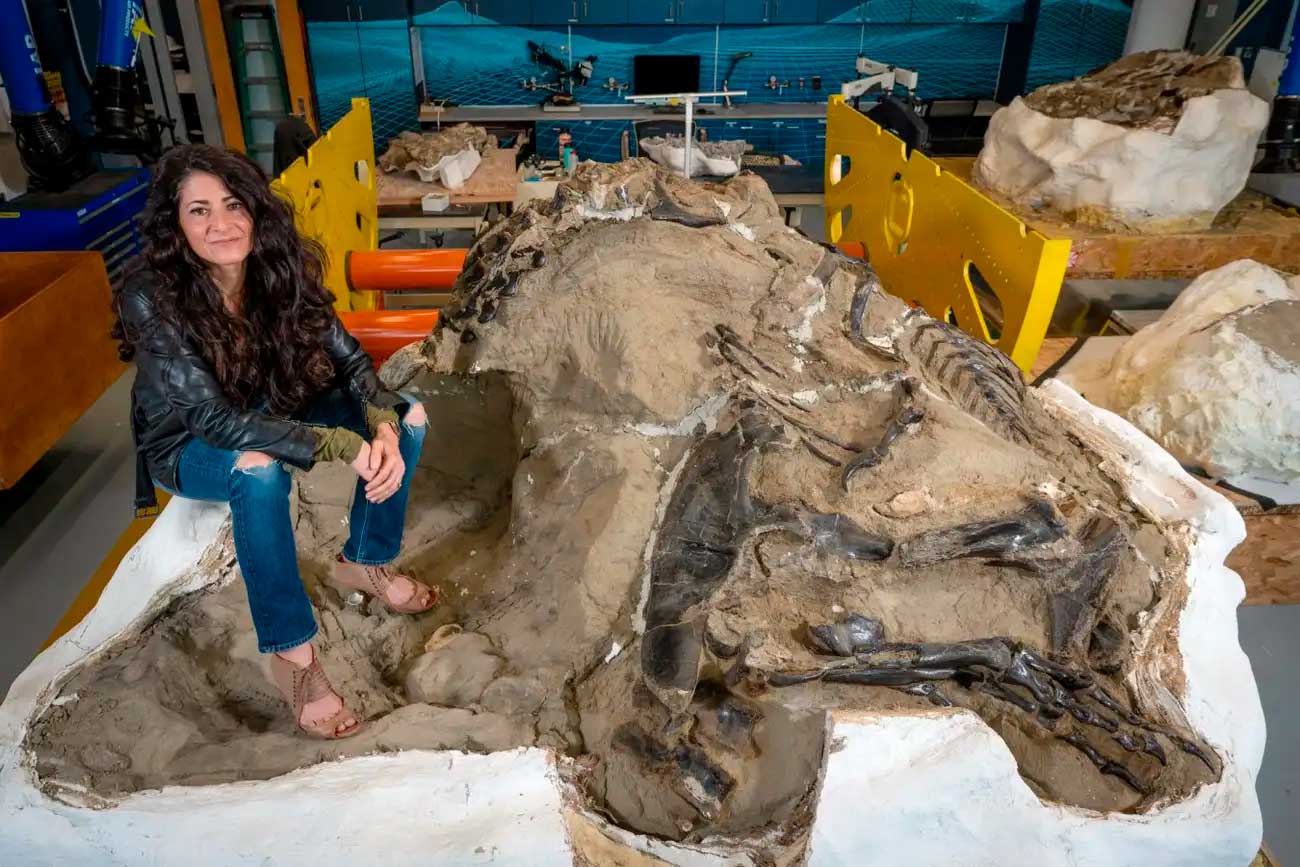 Nanotyrannus Lancensis