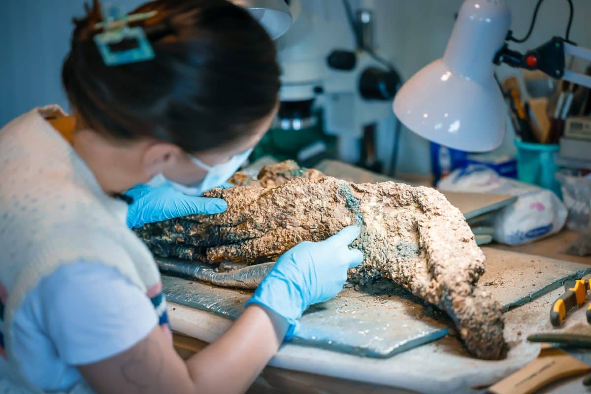 Кольчуга IX—X веков, найденная в крепости Рустави / © Rustavi History Museum