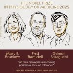 Нобелевскую премию по физиологии и медицине — 2025 присудили за исследования иммунитета