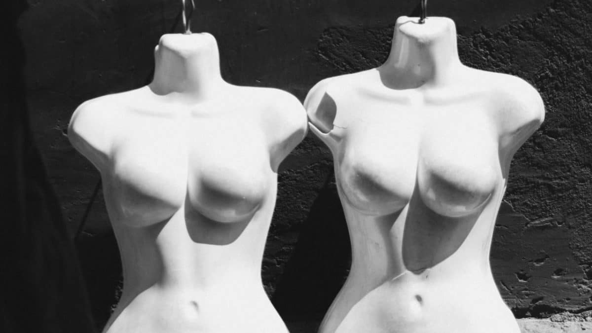 Рэйчел Стилдің қатысуымен порнофильмдер