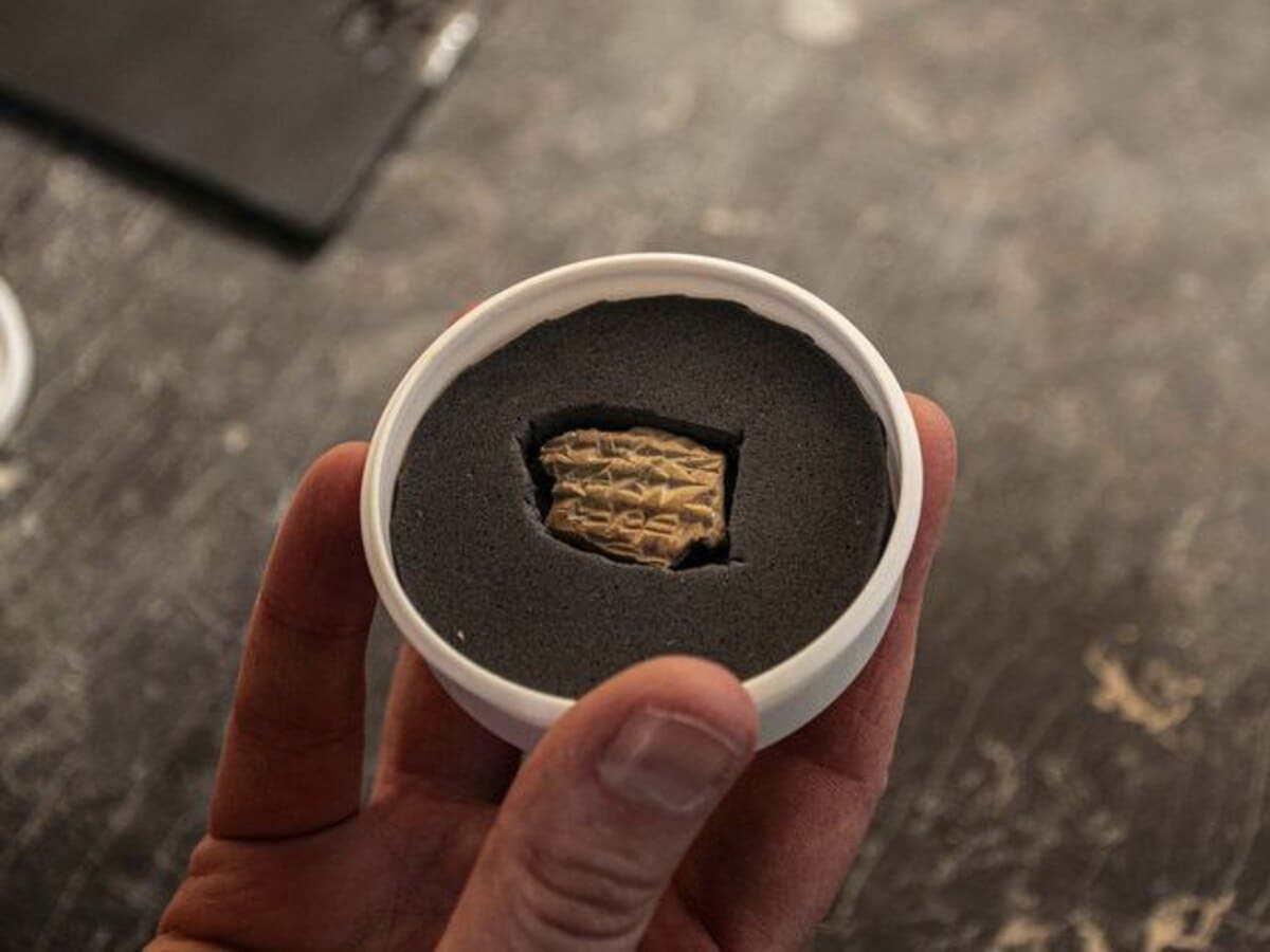 Первая ассирийская надпись, найденная в Иерусалиме / © Yoli Schwartz / Israel Antiquities Authority