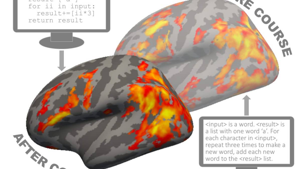 Эксперимент показал, что все люди обладают задатками к программированию