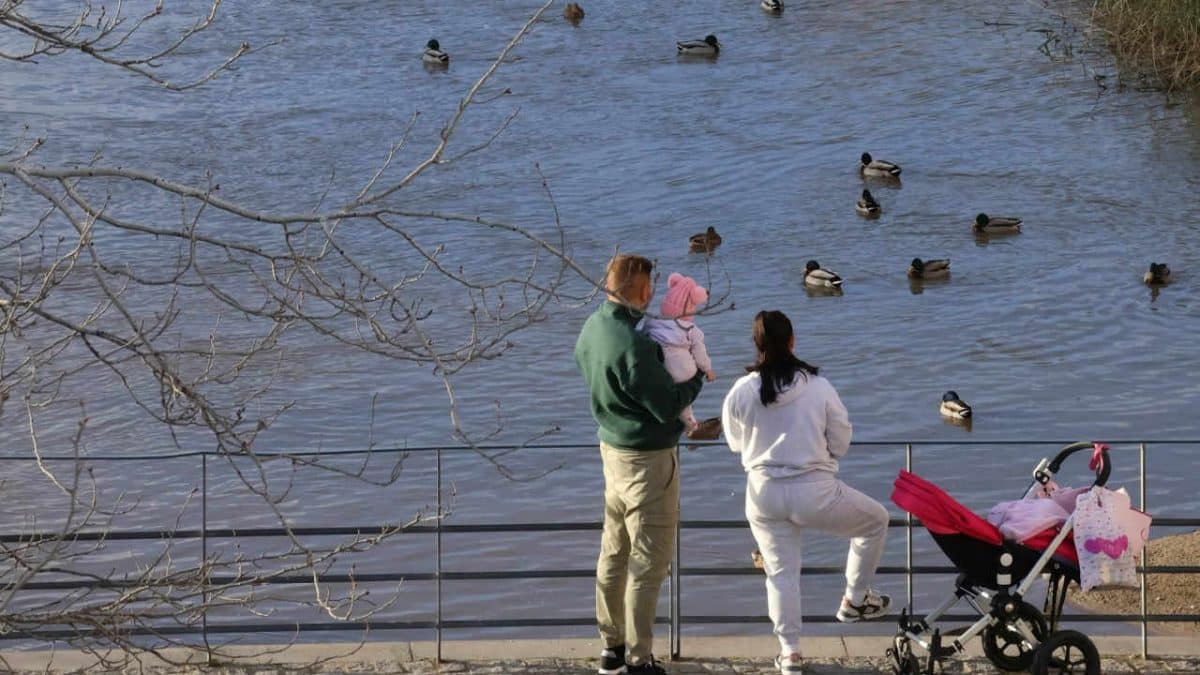 Психологи проследили, как рождение детей влияет на романтические чувства в парах