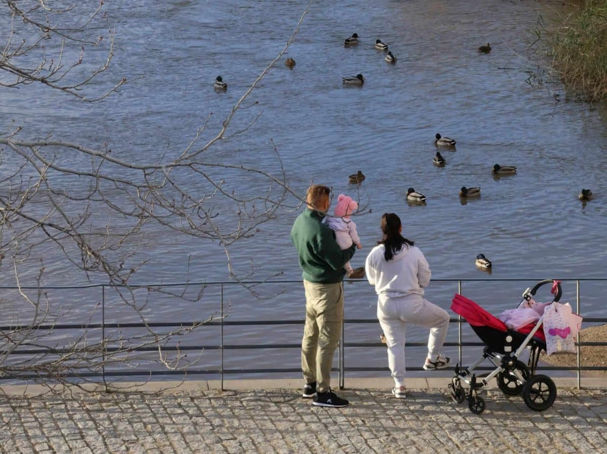 родители на прогулке