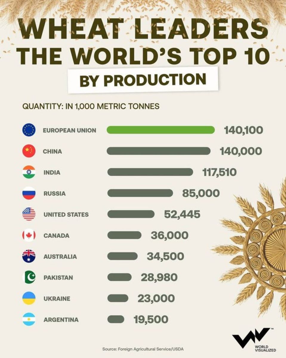 Крупнейшие производители пшеницы в мире в 2025 году / © World Visualized 