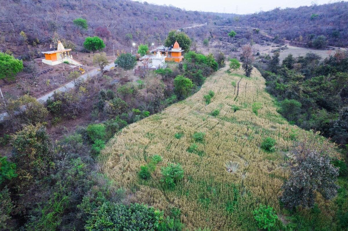 Второе место в номинации «Сосуществование» / © Kasim Mohammed