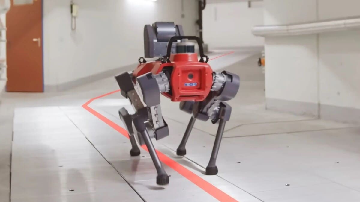 ANYmal / © ANYbotics