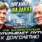 Органы на заказ: как биофабрикация откроет путь к долголетию