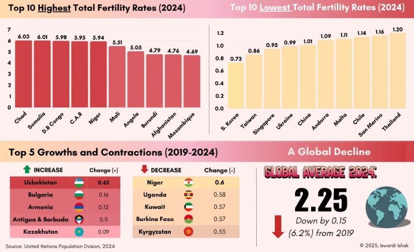 Инфографика: рождаемость в странах мира / © iswardiishak / voronoi