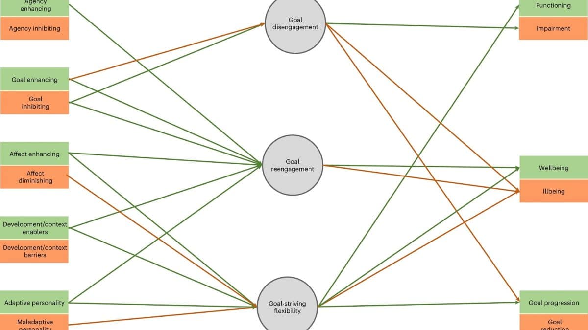 Ученые выяснили, когда стоит отказаться от цели