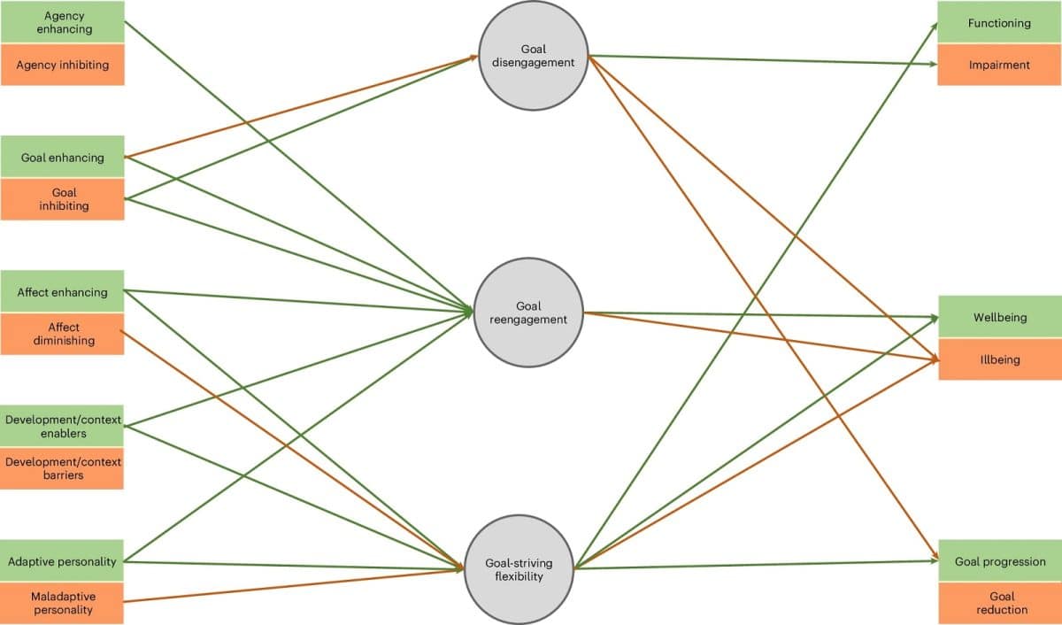 Исследователи описали, в каких случаях отказ от цели подействует на человека лучше, чем ее достижение