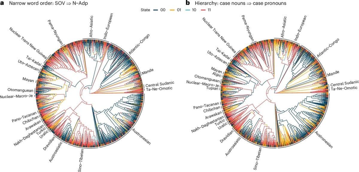 Лингвисты проверили 191 грамматическую закономерность на материале 2430 языков