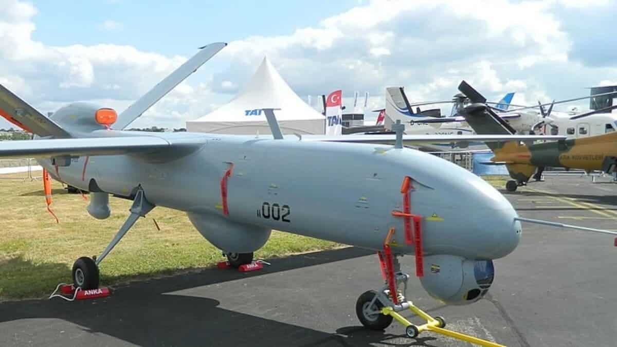 Anka / © Wikimedia Commons