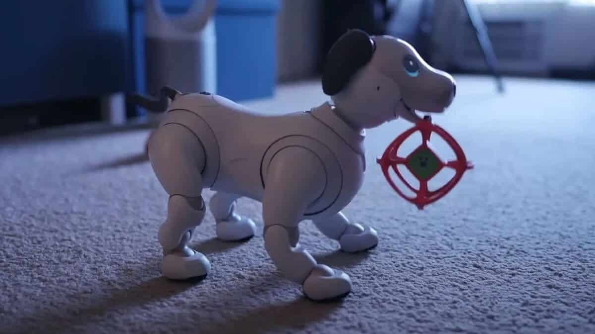 Aibo / © Sony