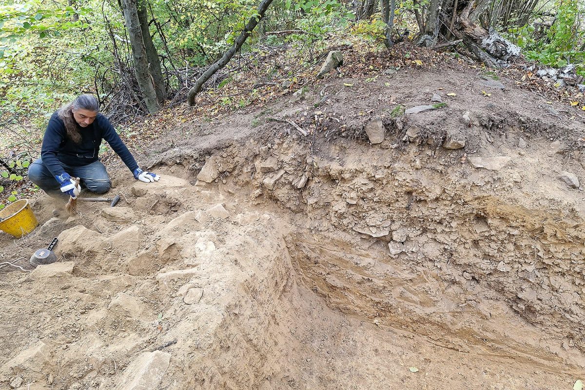 Монументальная крепость бронзового века на вершине горы Папук на северо-востоке Хорватии / © Kristijan Toplak / Virovitičko-podravska županija