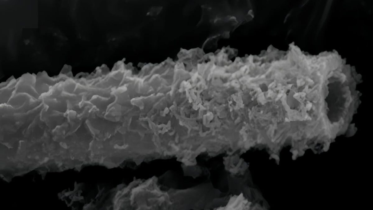 В марсианском грунте заподозрили наличие следов окисляющих железо организмов