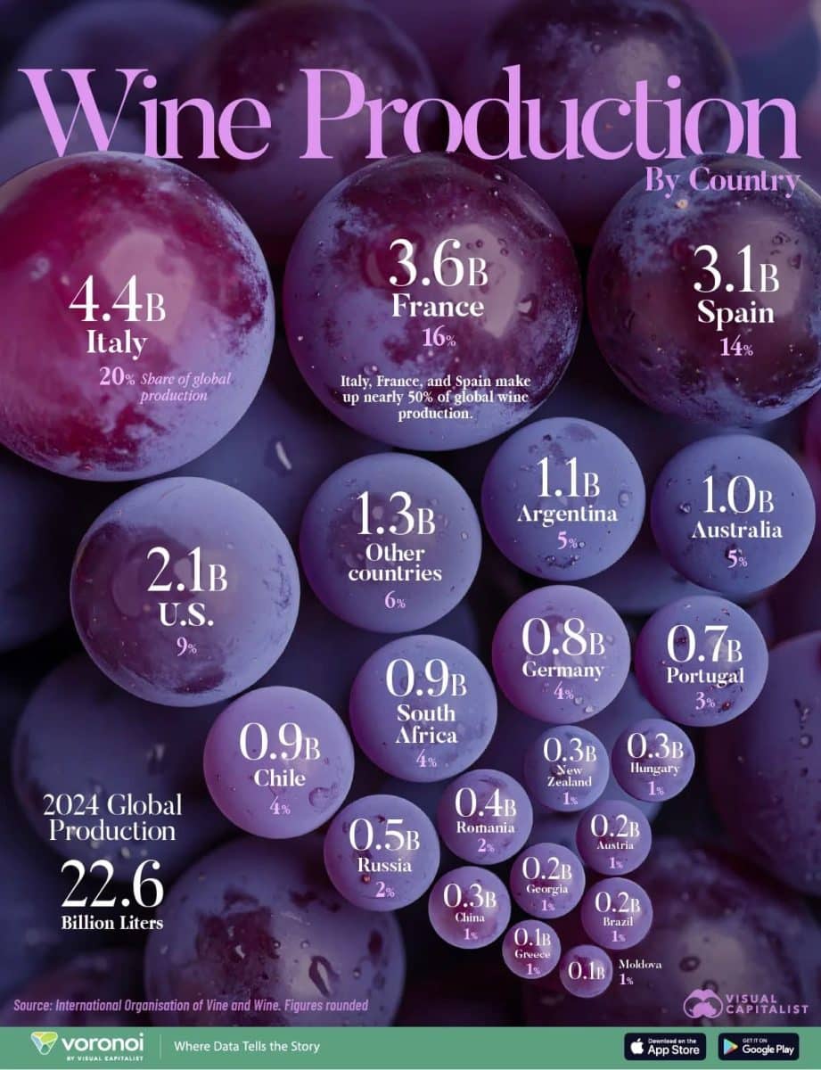 Рейтинг: производство вина по странам / © Visual Capitalist