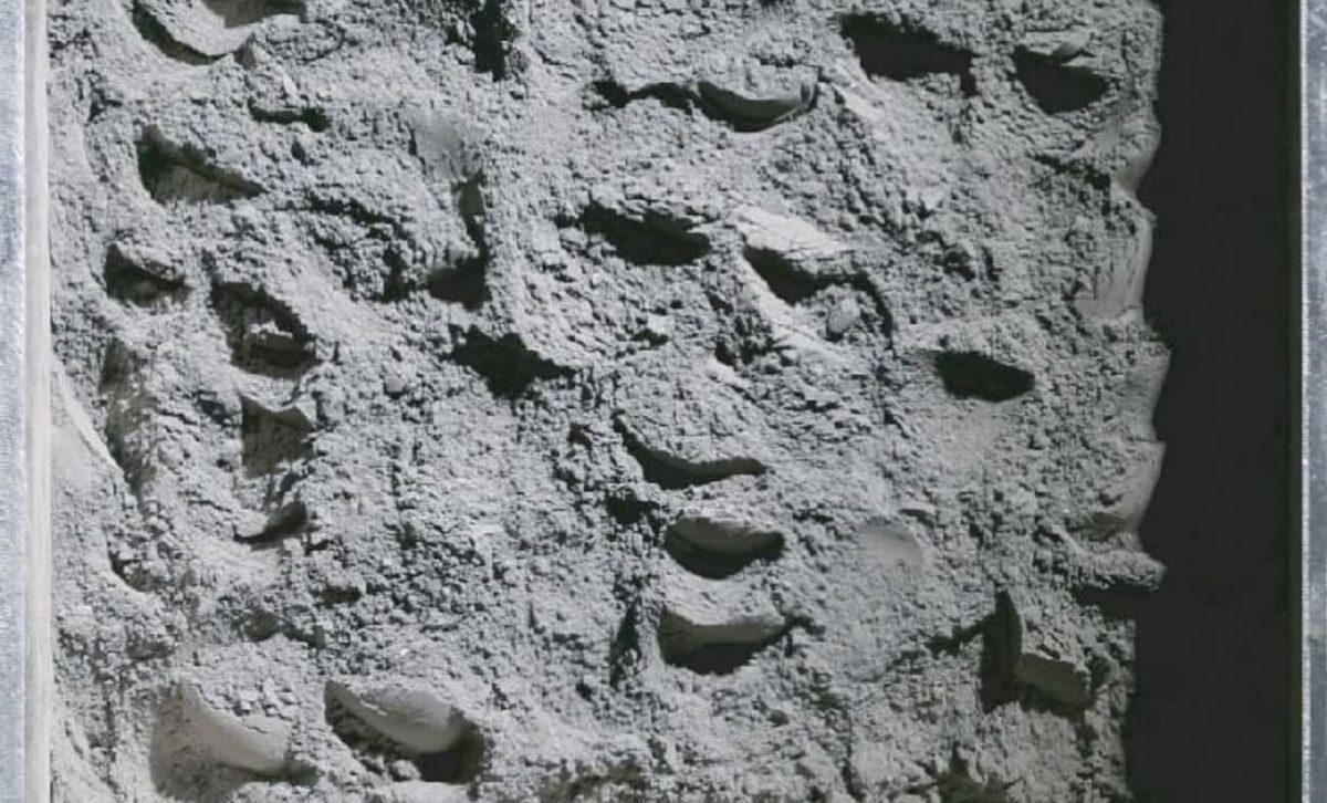 Лунный грунт, доставленный на Землю миссией «Чанъэ-6»