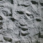 Лунный грунт, доставленный на Землю миссией «Чанъэ-6»