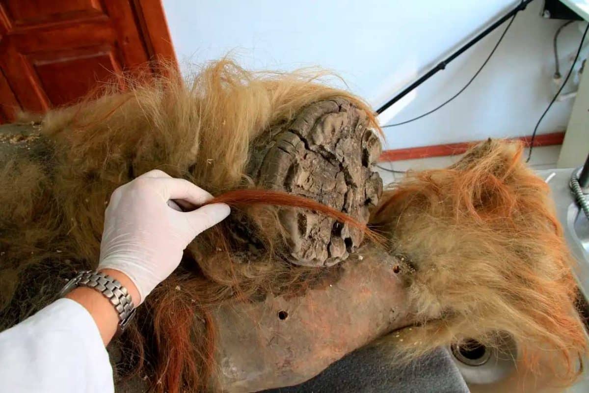 мамонтенок Юка