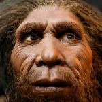 Массивный нос неандертальца не был приспособлен к холодному климату