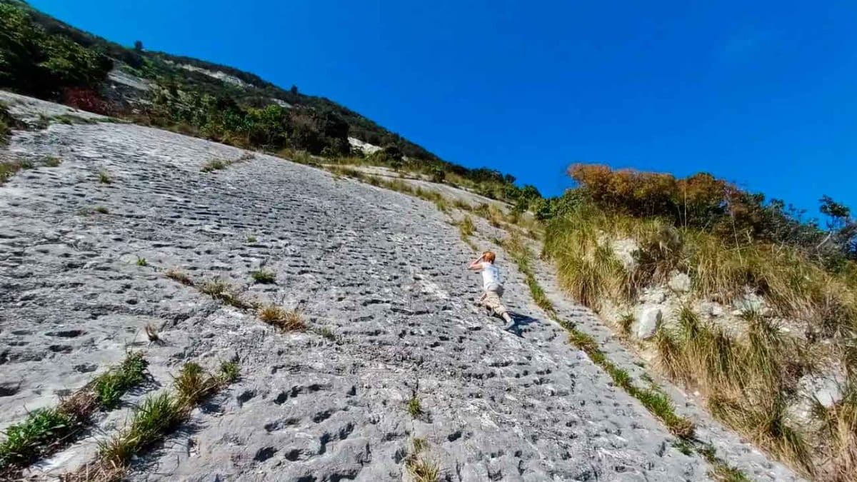 Геологи раскрыли возможную причину появления тысячи древних следов в Италии