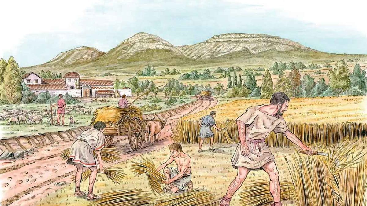 Налоги на урожай, а не сельское хозяйство в целом, подтолкнули людей к созданию первых государств